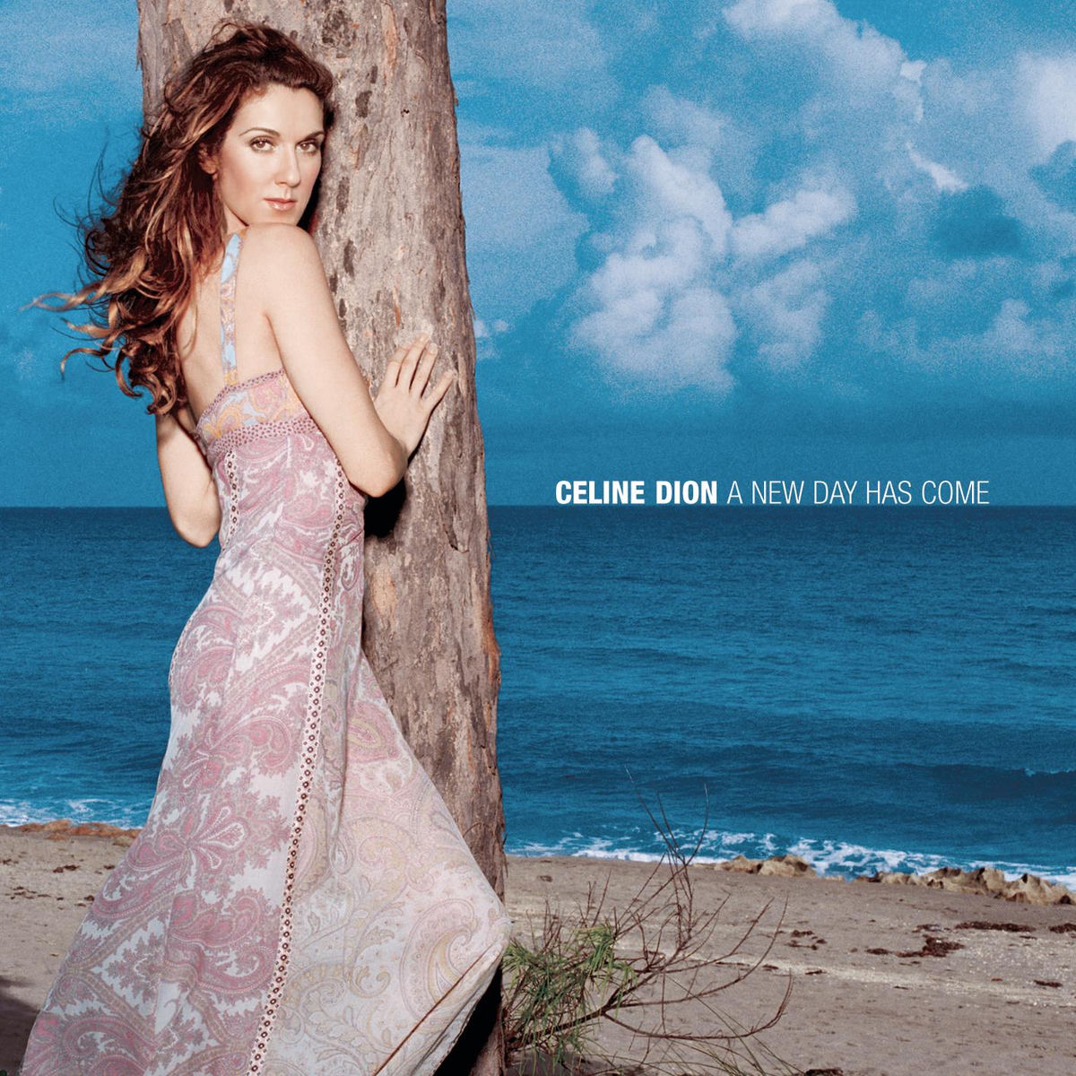Céline Dion; Celine Dion